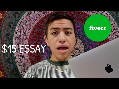 evaluation essay must have